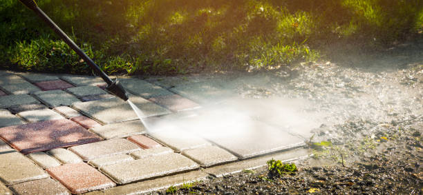 Best Animal Enclosure Cleaning  in El Verano, CA